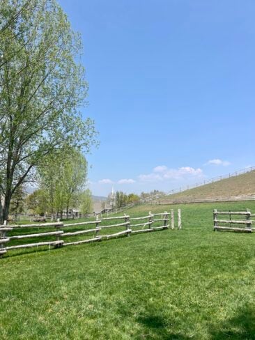 Discover the luxury and elegance of Waldorf Astoria Park City in this detailed Waldorf Astoria Park City review. Learn about its amenities, service, and experience for the perfect mountain getaway.