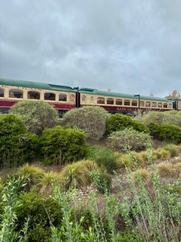 My honest Napa Valley Wine Train Review covers cars, menus, winery tours, Legacy Experience, Vista Dome lunch, tips on wine train ticket prices, dress code, and the best seats on the wine train. I've included a Napa Valley Wine Train Discount Code.
